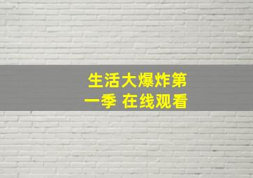 生活大爆炸第一季 在线观看